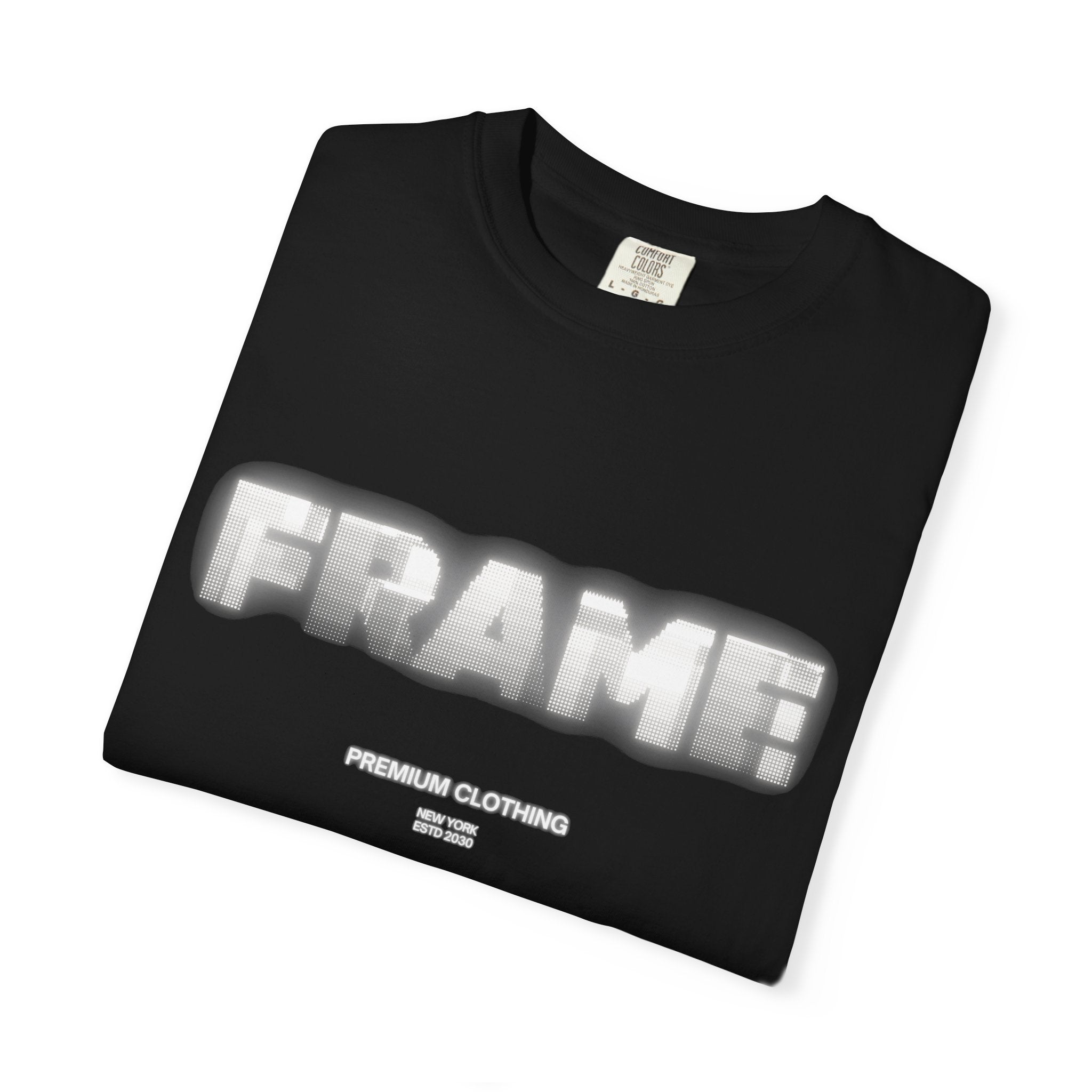 FRAME 2030 graphic (Black)
